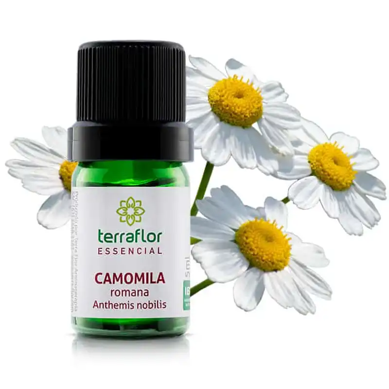 Óleo Essencial de Camomila Romana Terraflor - 5ml - Blend Essencial